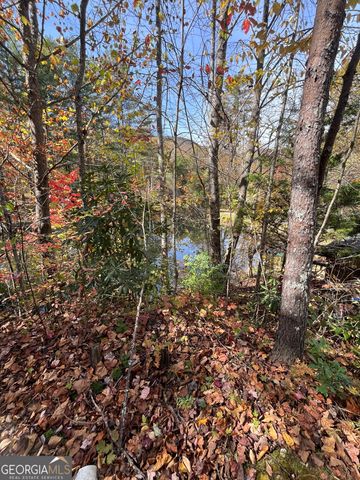 68 Nelson Lane, Hiawassee, GA 30546