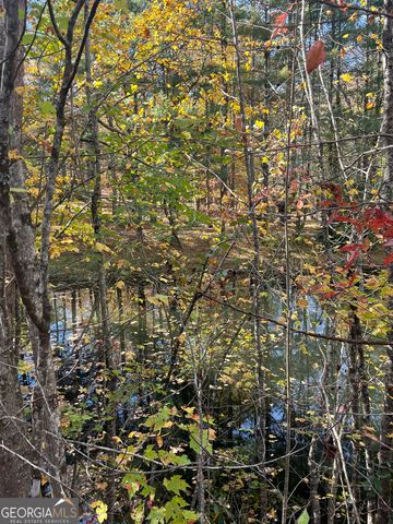 68 Nelson Lane, Hiawassee, GA 30546