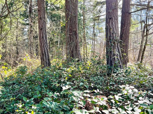 12631 200th Street E, Graham, WA 98338