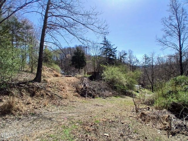 4314 Big Hill Road, Pennington Gap, VA 24277
