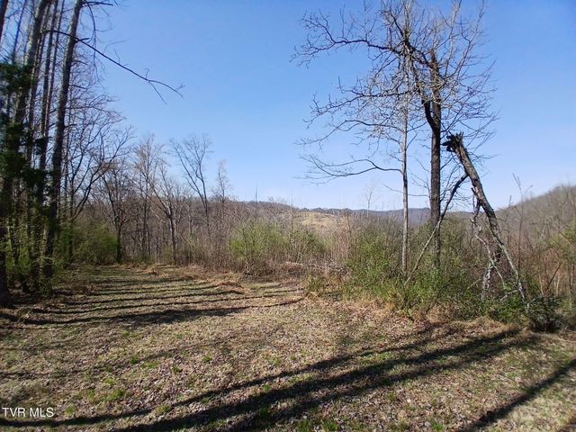4314 Big Hill Road, Pennington Gap, VA 24277