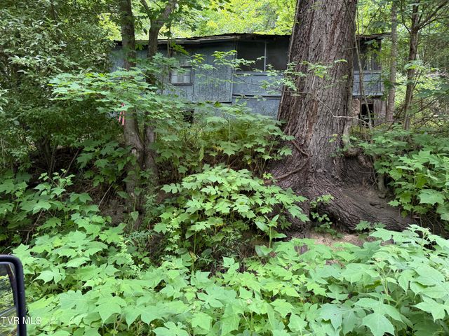 4314 Big Hill Road, Pennington Gap, VA 24277