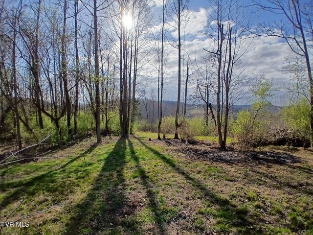 4314 Big Hill Road, Pennington Gap, VA 24277