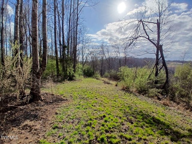 4314 Big Hill Road, Pennington Gap, VA 24277