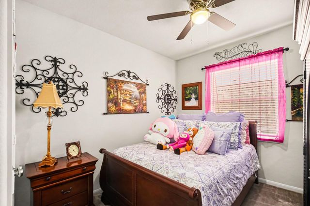411 Asiatic Black Bear Way, Crosby, TX 77532