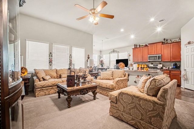 411 Asiatic Black Bear Way, Crosby, TX 77532