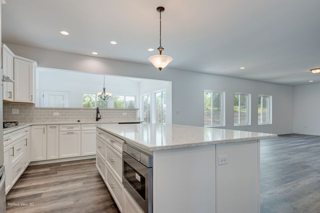 25901 W Winding Hollow Drive, Channahon, IL 60410
