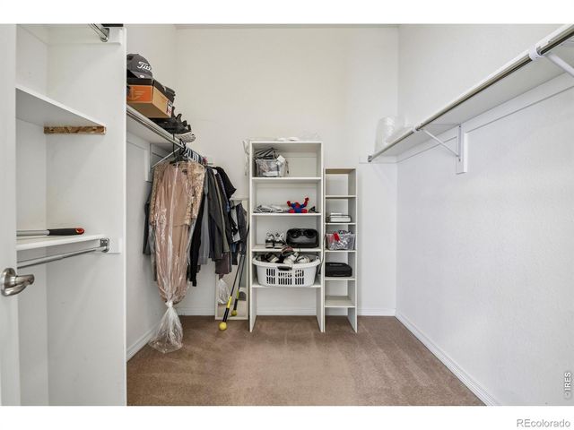 4553 Red Deer Trail, Broomfield, CO 80020