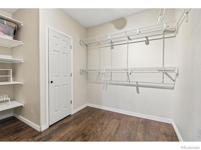 4553 Red Deer Trail, Broomfield, CO 80020