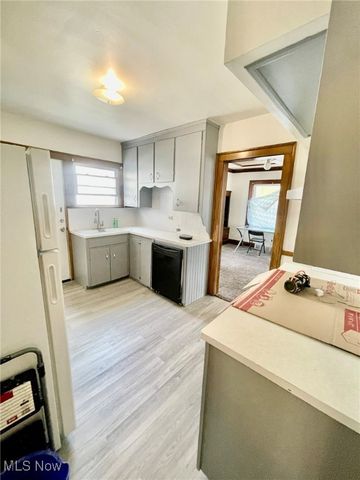 19031 Locherie Avenue, Euclid, OH 44119