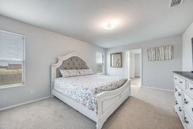 926 Hurstwood Drive, Van Alstyne, TX 75495