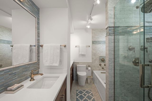 1560 N Sandburg Terrace 3602-04, Chicago, IL 60610