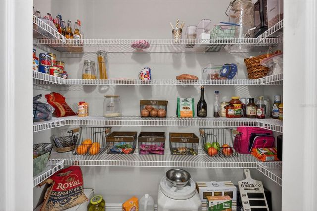 8410 AUBURN RISE COURT, Land O Lakes, FL 34638