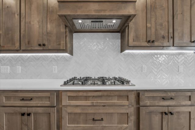 115 Cattail Court, Robinson, TX 76706