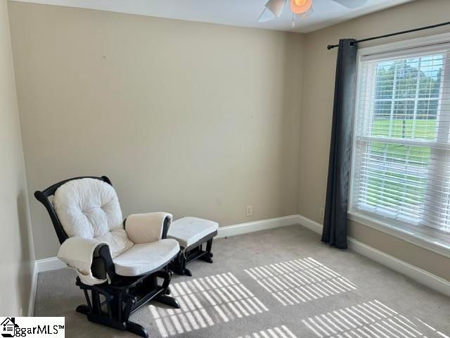 115 Taylors Road, Taylors, SC 29687