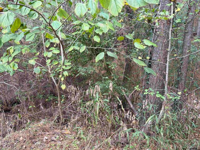 20480 Clearwater Circle, Flint, TX 75762