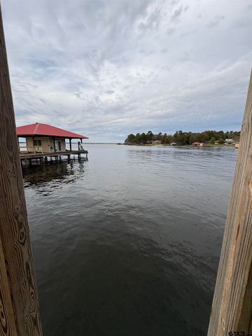 20480 Clearwater Circle, Flint, TX 75762