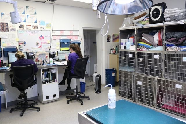 70 Beacon, Somerville, MA 02143