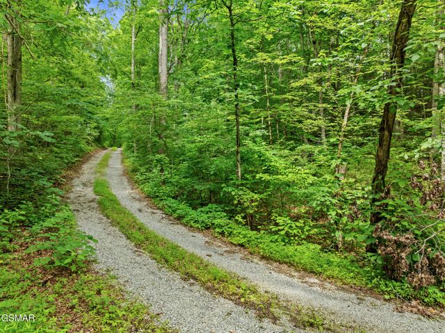 240 Bob Hollow Road, Sevierville, TN 37876