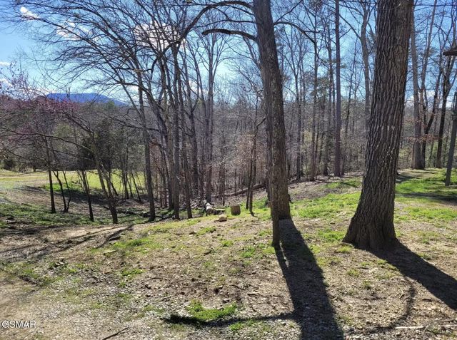 240 Bob Hollow Road, Sevierville, TN 37876