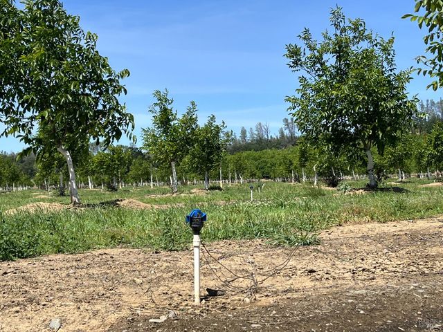 18525 Farquhar Rd, Cottonwood, CA 96022