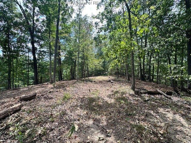 0 Delaware Drive, Hurricane, WV 25526