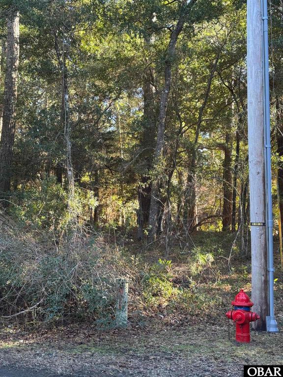 Image 1 of property listing at 47104 Deer Run Circle Lot 10, Buxton, NC 27920