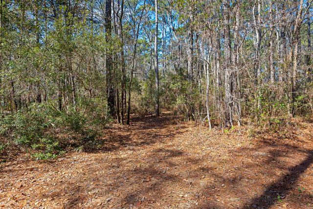 9168 Old Georgetown Road, Mcclellanville, SC 29458