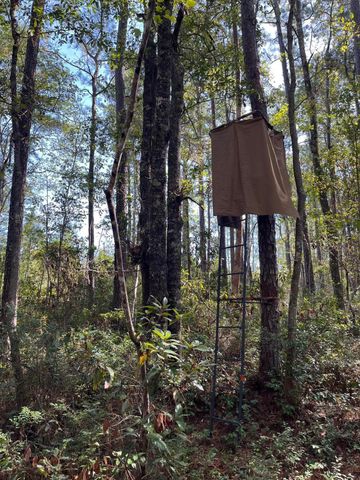 9168 Old Georgetown Road, Mcclellanville, SC 29458