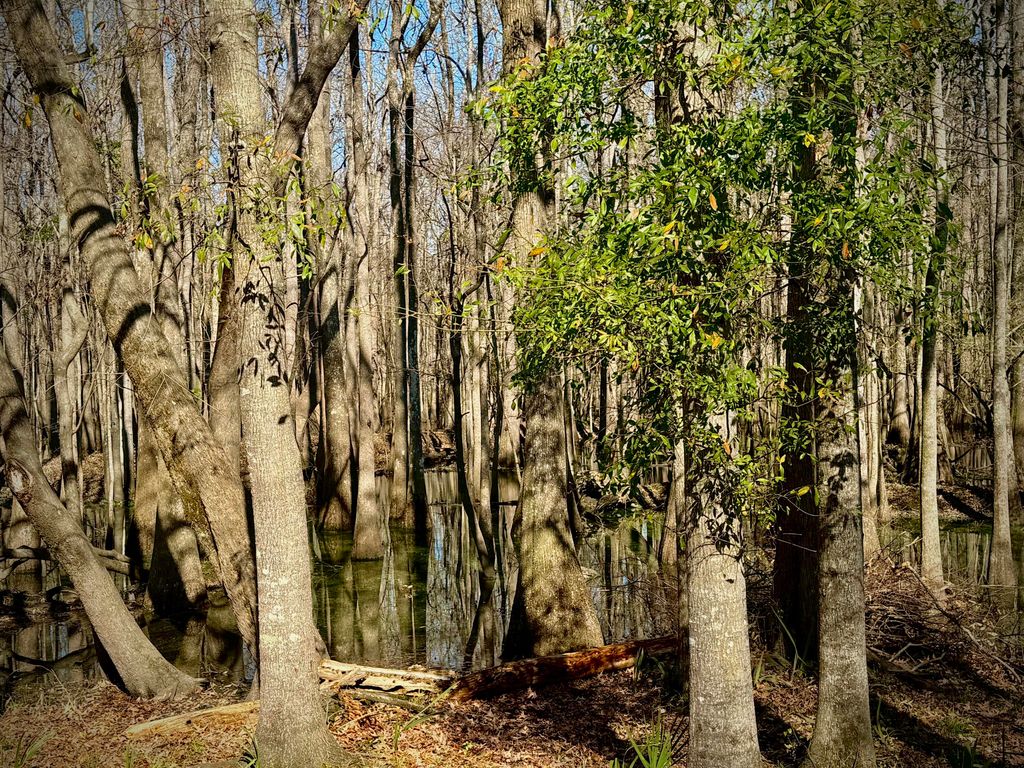 Image 13 of property listing at 112 Clearview Circle, Goose Creek, SC 29445