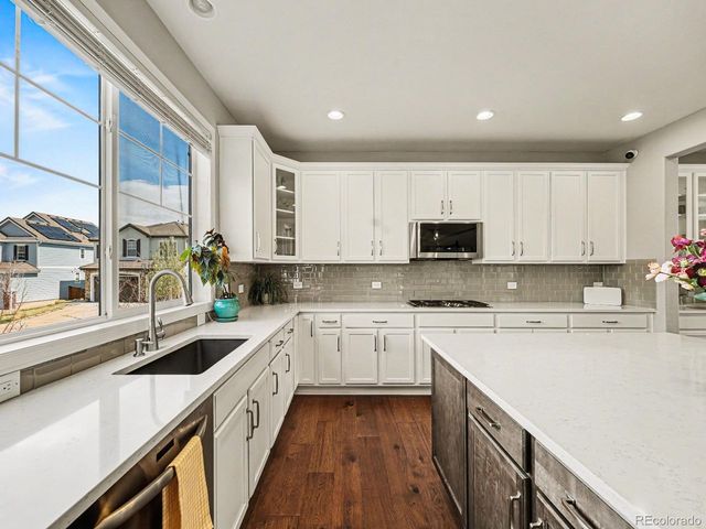 14317 Double Dutch Loop, Parker, CO 80134