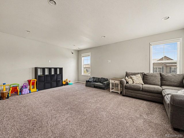 14317 Double Dutch Loop, Parker, CO 80134