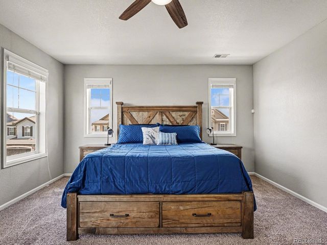 14317 Double Dutch Loop, Parker, CO 80134