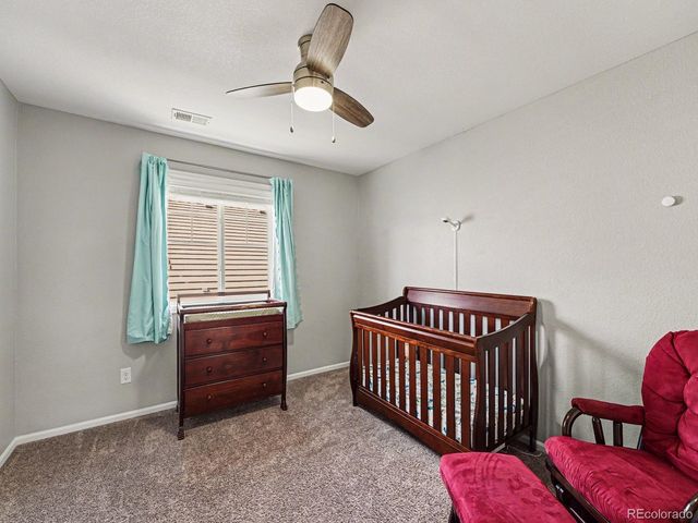 14317 Double Dutch Loop, Parker, CO 80134