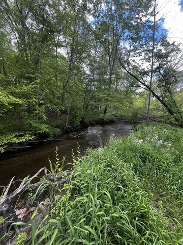 5650 Morrison Lake Road, Saranac, MI 48881