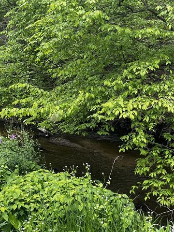 5650 Morrison Lake Road, Saranac, MI 48881