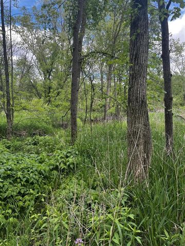 5650 Morrison Lake Road, Saranac, MI 48881