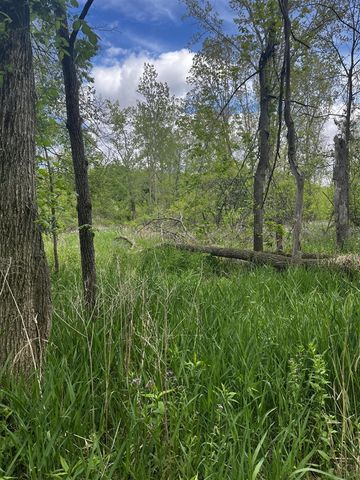 5650 Morrison Lake Road, Saranac, MI 48881