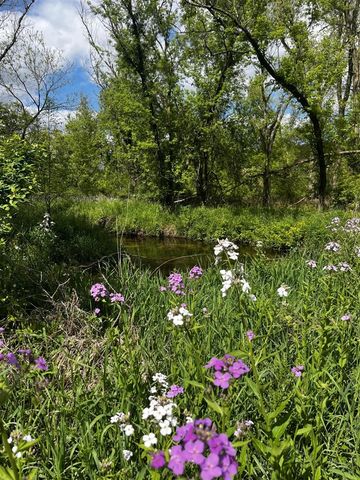 5650 Morrison Lake Road, Saranac, MI 48881