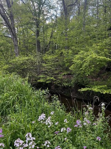 5650 Morrison Lake Road, Saranac, MI 48881