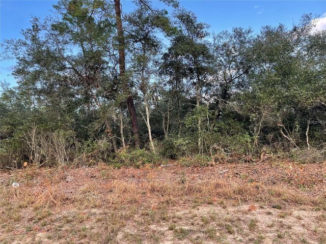 165 SW STREET ROAD, Ocala, FL 34473