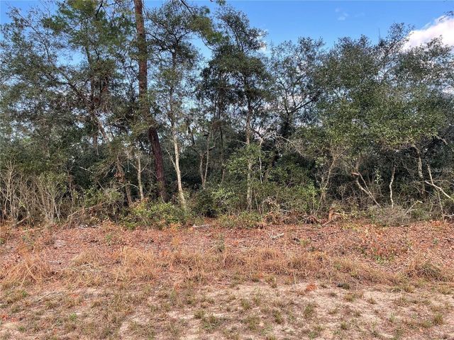 165 SW STREET ROAD, Ocala, FL 34473