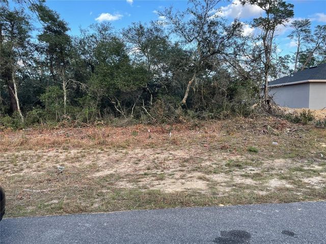 165 SW STREET ROAD, Ocala, FL 34473