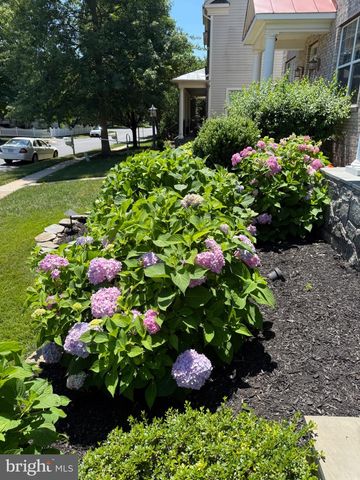 8958 JUNCO CT, Gainesville, VA 20155