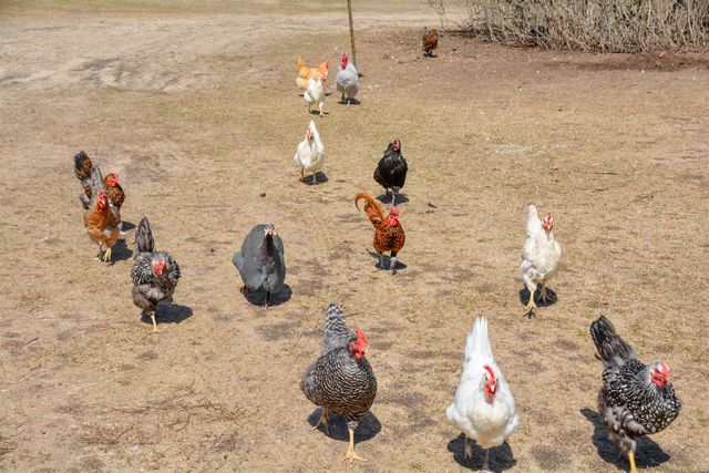 8616 Cedar Run Road, Traverse City, MI 49684