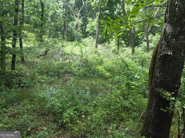 408 Bowen Road, Milner, GA 30257