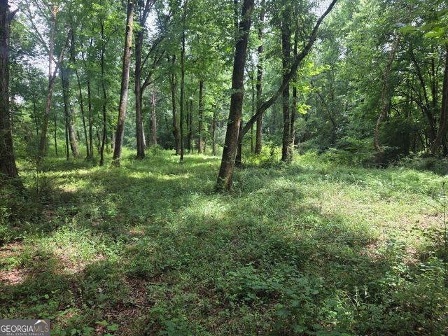 408 Bowen Road, Milner, GA 30257