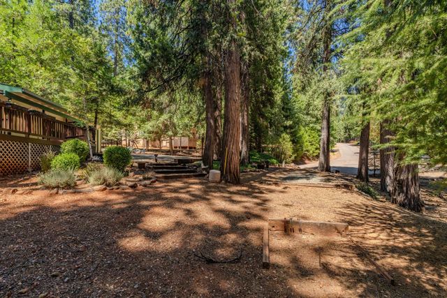 17667 Circle View Dr, Pioneer, CA 95666