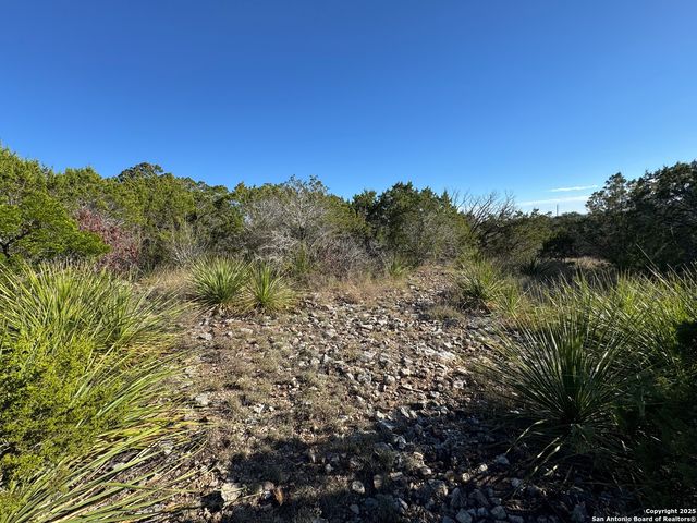 LOT 31 W CR 2801, Mico, TX 78056