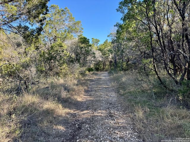 LOT 31 W CR 2801, Mico, TX 78056